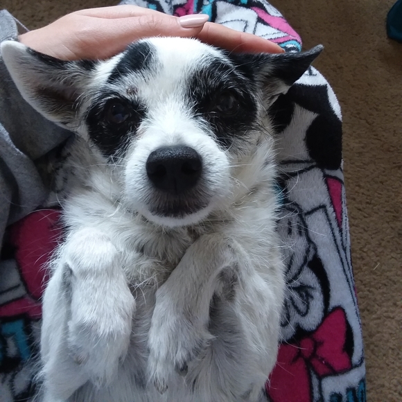 Rest In Peace - Picture 2 of 13